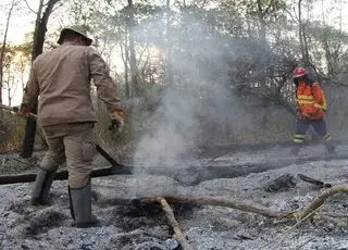 Após 4 anos do maior incêndio no Pantanal, estados amadurecem e firmam acordo