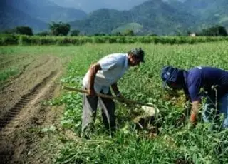 CMN ajusta normas do Programa de Programa de Garantia de Preços para Agricultura Familiar