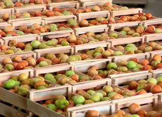 IPCA-15: preços sobem 0,21% em abril, ainda puxados pelos alimentos