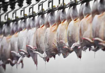 Exportações de frango do Brasil crescem em abril