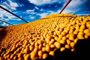 Vendas de soja no Brasil aceleram com recuperação de preços