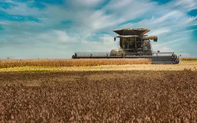 Brasil colheu 29,4% da área de soja. Veja evolução dos estados