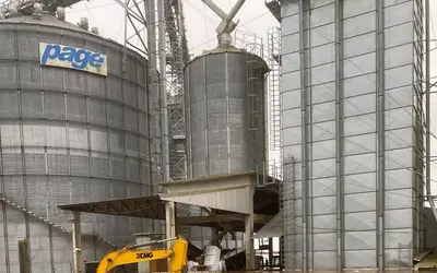 Destruição de lavouras de soja no RS pode encarecer frango e porco, além do óleo, dizem analistas