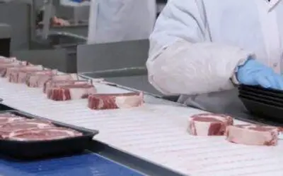 Exportações de carne suína brasileira aumentam 7,8%