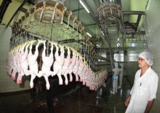 Newcastle: suspensão preventiva de exportação de frango diminui para 42 mercados