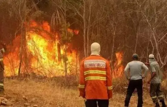 Bombeiros iniciam prevenção a incêndios florestais com população ribeirinha