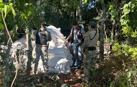 Polícia paraguaia desfaz entreposto com dois hectares de maconha