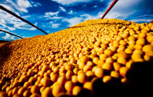 Chuvas no RS impulsionam preços da soja e do milho em Chicago