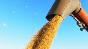 Preços da soja caem no Brasil e no exterior; veja cotações