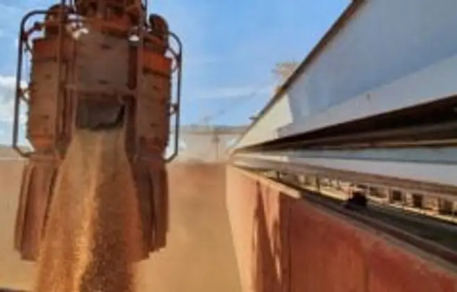USDA: Exportadores de soja relatam venda de 121,5 mil t para destinos não revelados