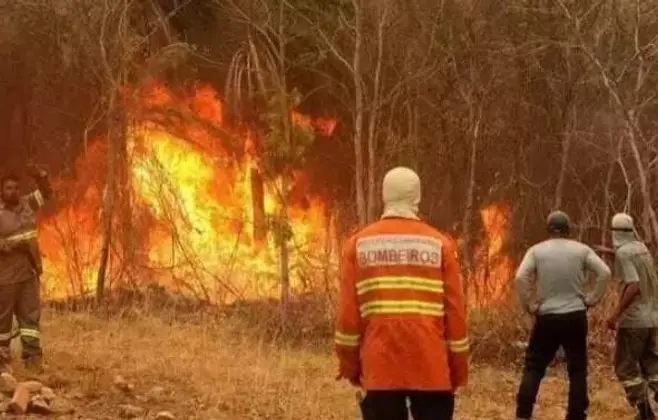 Bombeiros iniciam prevenção a incêndios florestais com população ribeirinha