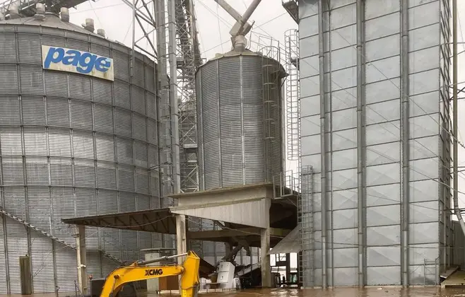 Destruição de lavouras de soja no RS pode encarecer frango e porco, além do óleo, dizem analistas