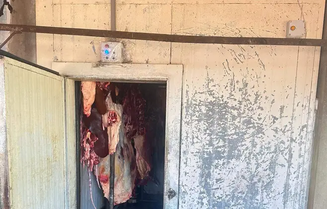 Após denúncia, três são presos por abate e comércio de carne clandestina