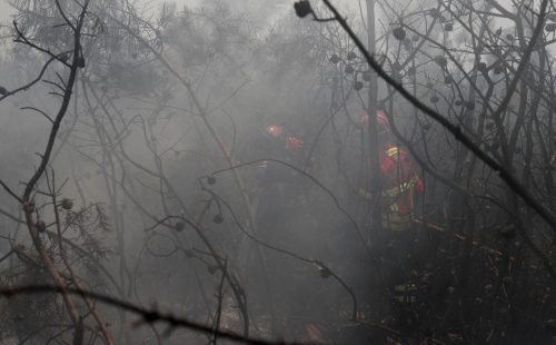 2019-07-21t134323z_1898307389_rc1d606eb770_rtrmadp_3_portugal-wildfires.jpg