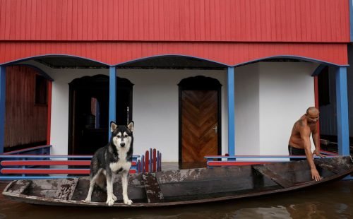 2021-05-17t181039z_1231131674_rc23fn9yuhgc_rtrmadp_3_brazil-amazon-floods.jpg