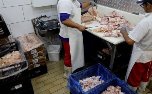 2025-05-20t162219z_613522924_rc2oleasl1zu_rtrmadp_3_health-bird-flu-brazil_0.jpg