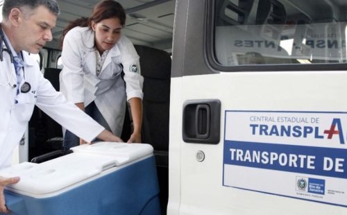 22409transplante_2_1.jpg
