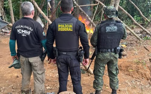 acao_pf_2.jpg