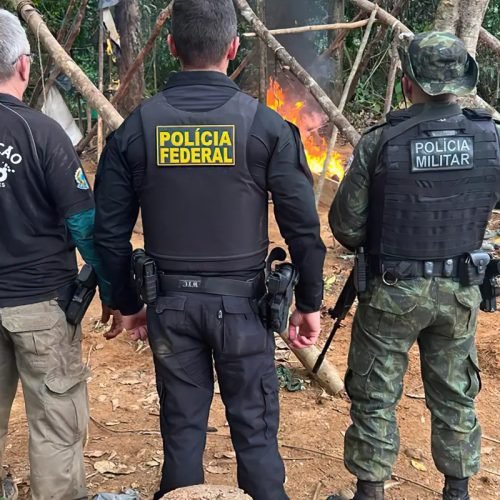 acao_pf_2.jpg