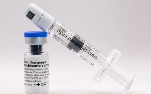 achikungunyainterna1_copy.jpg