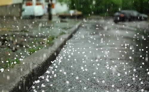 adobestock_477074241.jpeg