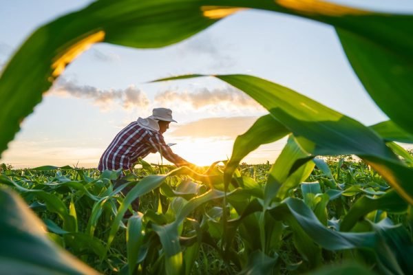 adobestock_621171608.jpeg