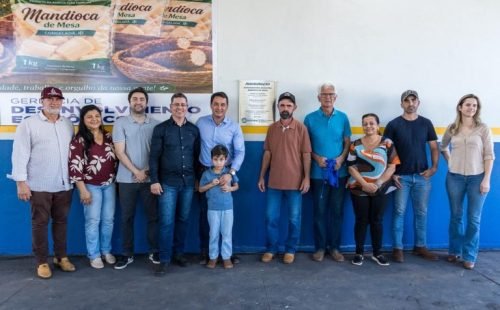 agroindustria-mandioca-de-mesa-36-1-768x512.jpg