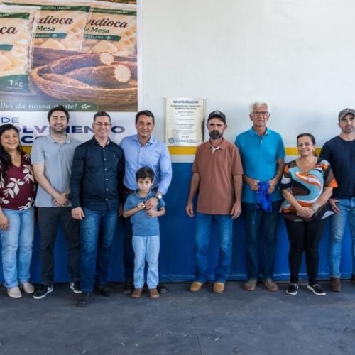 agroindustria-mandioca-de-mesa-36-1-768x512.jpg