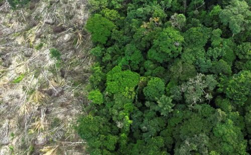 amazonia_desmatamento_1.jpg