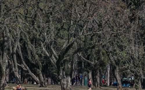 calor_ibirapuera_13_0.jpg