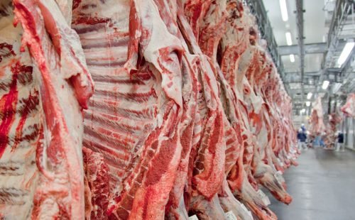 carne2.jpg