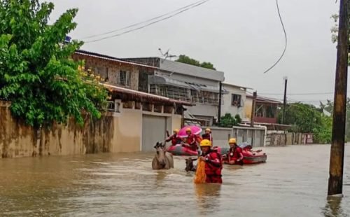 chuvas_em_pernambuco04.jpg