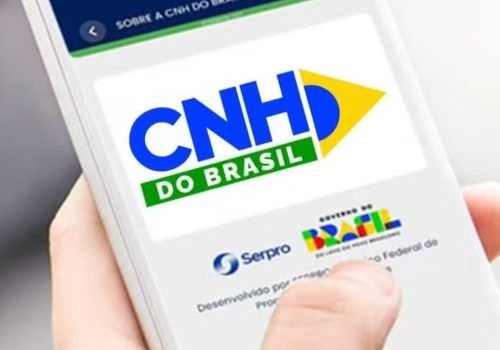 cnh-do-brasil_copy.jpg