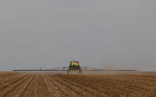 d6a9557_0.jpg