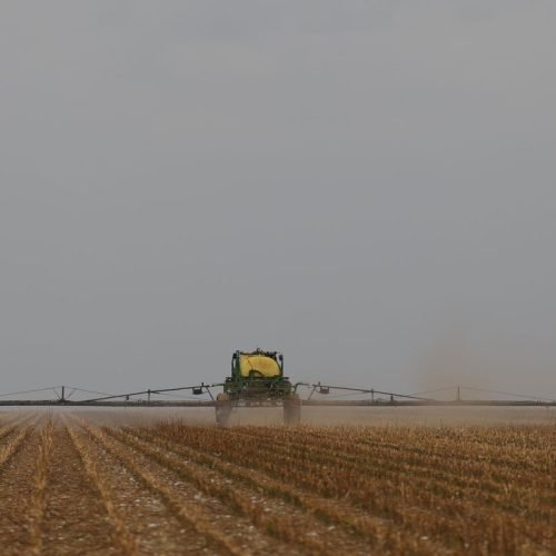 d6a9557_0.jpg