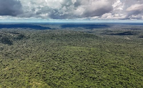 dji_20260514133612_0223_d_55279773377_o.jpg