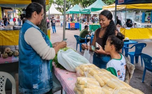 ecoverdinho-entrega-1505-768x512.jpeg