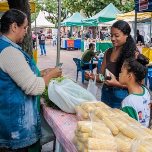 ecoverdinho-entrega-1505-768x512.jpeg