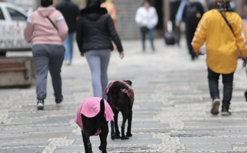 frio_sp01.jpg
