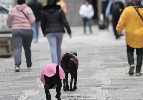 frio_sp01.jpg