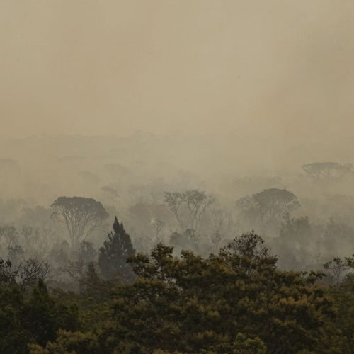 incendio-parque-nacionall_mcamgo_abr_16092024-9.jpg