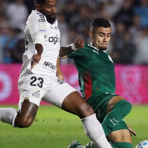 palmeiras_brasileirao.jpg