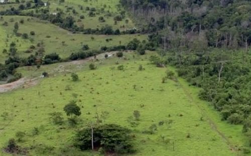 projeto_rural_na_amazonia_-_pnud.jpg
