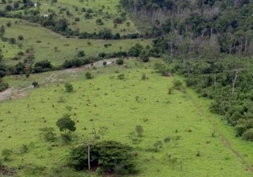 projeto_rural_na_amazonia_-_pnud.jpg