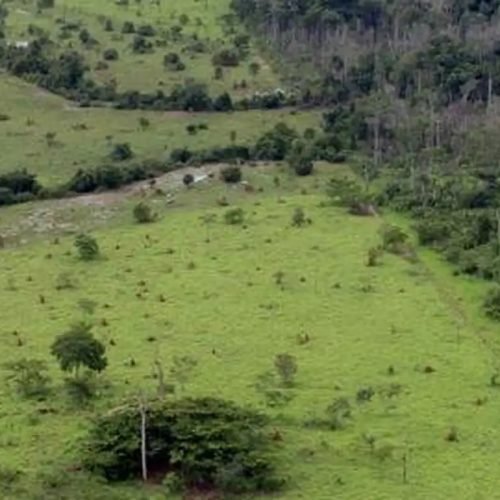 projeto_rural_na_amazonia_-_pnud.jpg