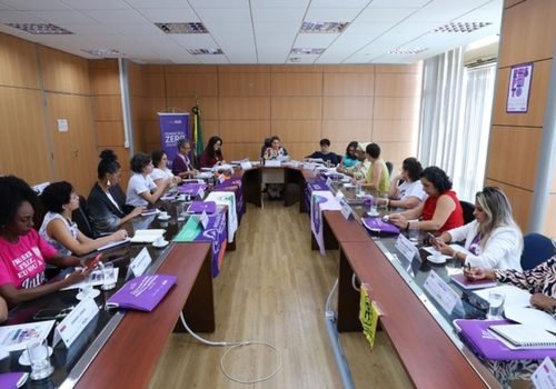 reuniao_ministerio_das_mulheres.jpeg