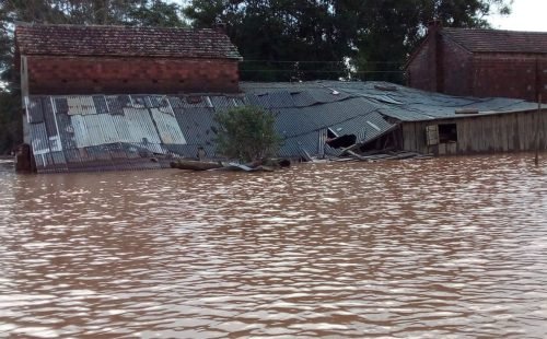 unidade_produtiva_camponesa_submersa._perda_total_de_plantio_producao_maquinario_e_infraestrutura.jp_.jpeg