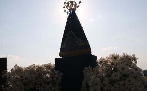 vac_abr_1210221298.jpg