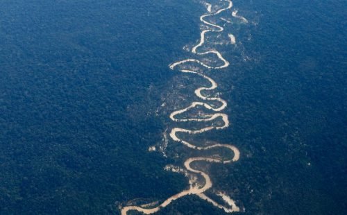 yanomami-frazao-10.jpg